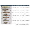 TackleHouse Minnow Buffet SD 55mm 3.6g Aburaya #12 SD55 Lure