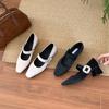 Chinese Style Embroidered High Heels Female Retro Mary Jane Square Head Single Shoes Female Versatile Fairy Style High-end Shoes Female