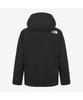 The North Face Nj2Gr98A Men'S Whistler Gore-Tex Ski Jacket Black