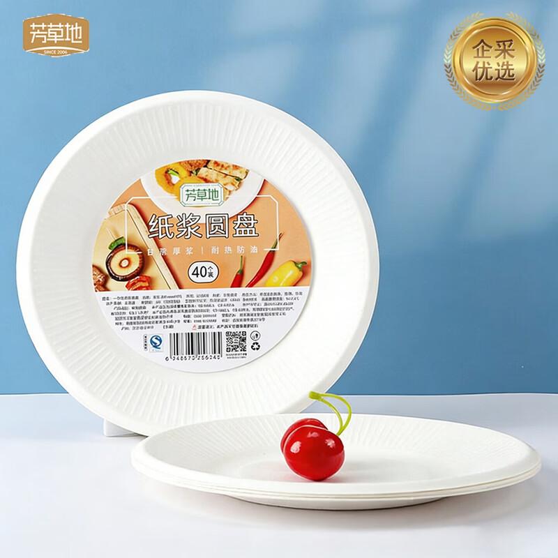Disposable Bagasse Paper Plates