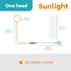 LED Plant Grow Light USB 5V Full Spectrum Hydroponic Dimmable Timer Auto On/Off Cactus Flowers Succulent Growth Cultivation Lamp