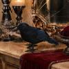 Creepy Bird Prop for Parties Realistic Crows Figurine, Lifelike Feathered Raven Statue Haunted House, Scary Mystery Atmosphere Halloween Party Props,