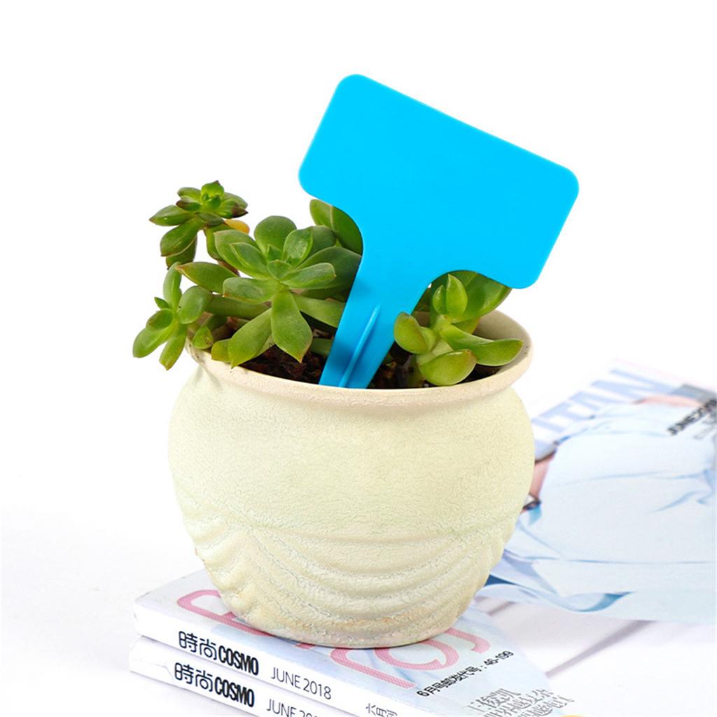 20PCS T Shape Garden Labels Thickening Garden Plant Tag Plant Classification Sorting Sign Tag Light