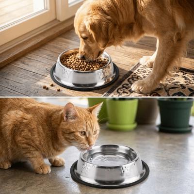 Rustproof Pet Bowl Anti-tip Cat Food Bowl Easy Rinse Pet Drinking Bowl  Home Indoor