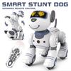 Intelligenter Früherziehungs-Roboterhund Roboter Kinderspielzeug Pädagogisch Junge Elektrisch 1-3 Jahre Hundeklub Neujahrsgeschenk