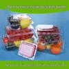 Shixun Disposable Transparent Fruit Containers with Lids (100-Pack)