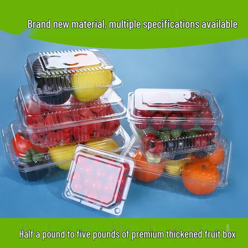 Shixun Disposable Transparent Fruit Containers with Lids (100-Pack)