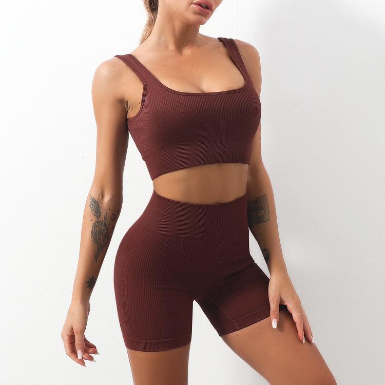 Europäisch-Amerikanisches Nahtloses Schnelltrocknendes Yoga-Westen- & High-Waist-Shorts-Set für Damen