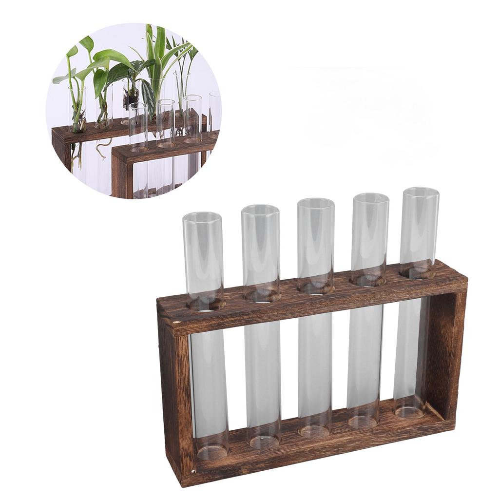 5 Test Tube Plant Terrarium Transparent Observe Growth Status Water Plant Holder with Wooden Stand for Herbs