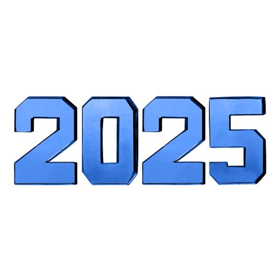 

4 шт. 2025 картонная коробка с цифрами, заполняемый лоток для колбасных изделий, конфет, закусок, набор, Новый год, выпускной, юбилей, день рождения, вечеринка, принадлежности, дисплей, деликатес синий