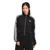 Women's Training Loose Casual Jacket KS2870