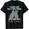 British Shorthair Cat T-Shirt for Men Women Kids(1)