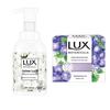 Antibacterial Hand Wash & Botanical Soap Set
