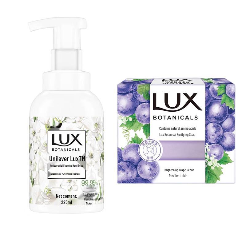 Lux Antibacterial Hand Wash & Botanical Soap Set