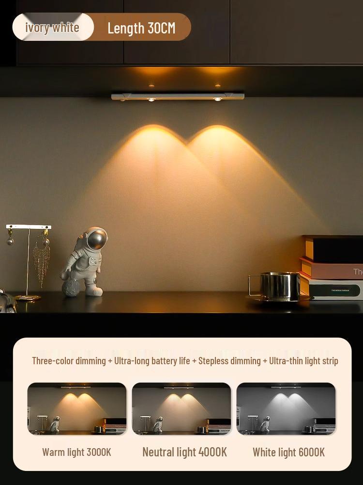 

Rechargeable Magnetic Sensor Cabinet Light Strip for Living Rooms and Shoe Cabinets