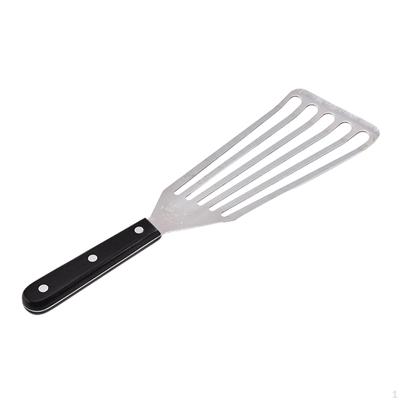 Stainless Steel Fish for Grilling and Cooking