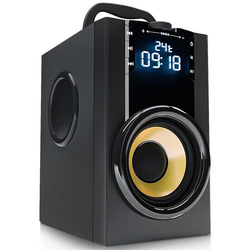 Suoai SA-Q22 Portable Bluetooth KTV Speaker with Subwoofer and Microphone