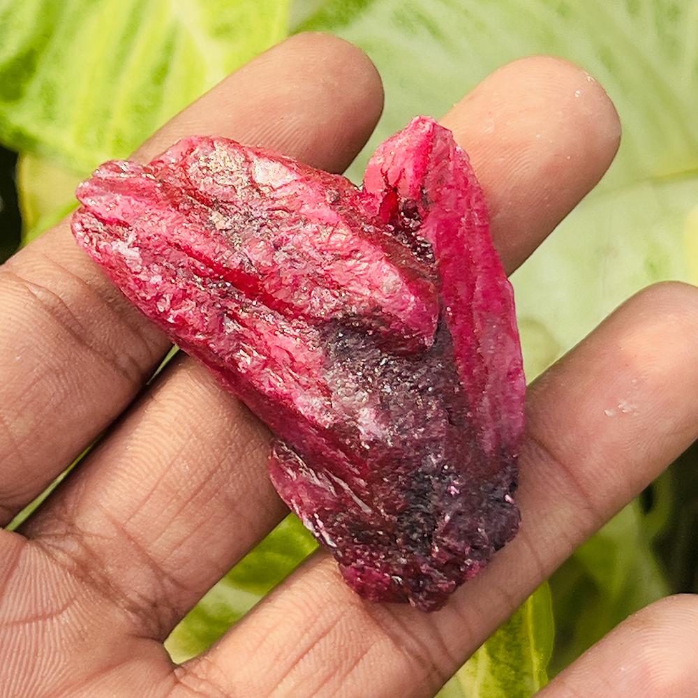 Natural Red Ruby Loose Gemstone Uncut 169.70 Ct Raw Rough for Lapidary and Gem Collections