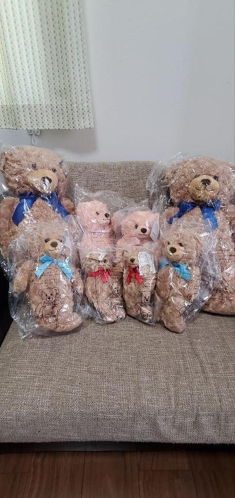 [USED] Teddy Bear Doll Gift for Birthday, Anniversary, Baby, Child