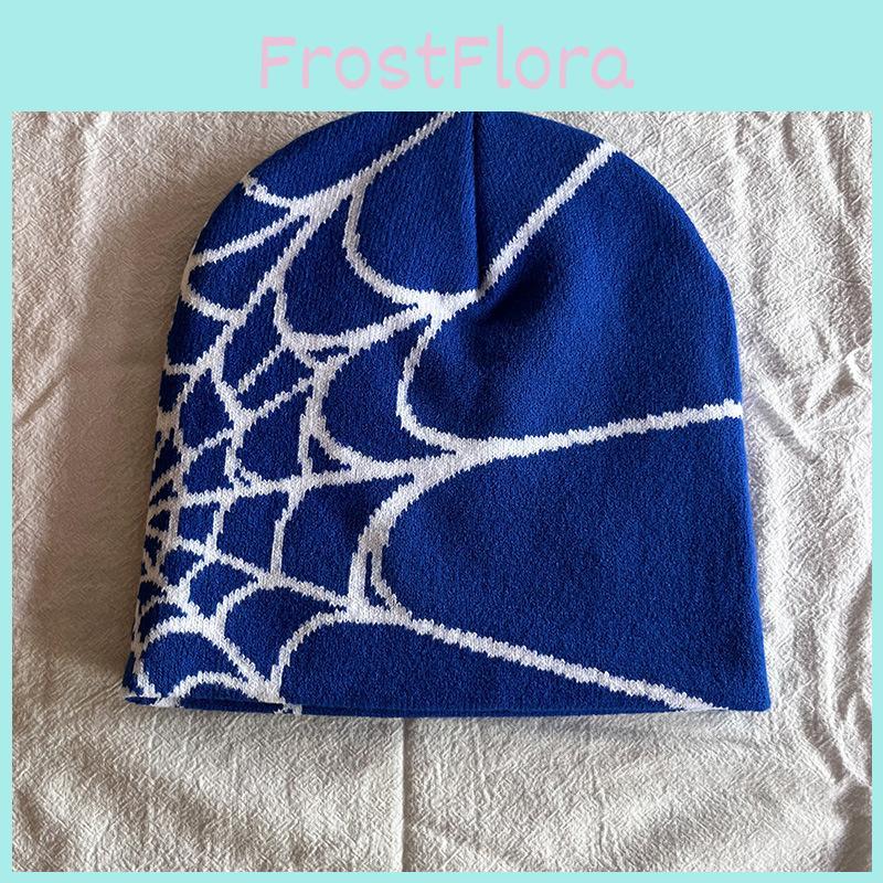 Hip Hop Inspired Knit Cap With Spider Web Embroidery Design For Casual Wear
