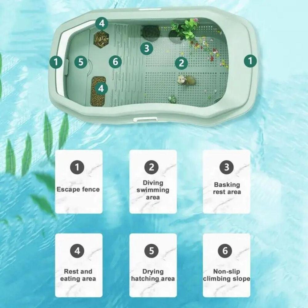 Anti-Slip Turtle Habitat Widen Turtle Tank Container Turtles Tank Aquarium  Crayfish Small Reptile