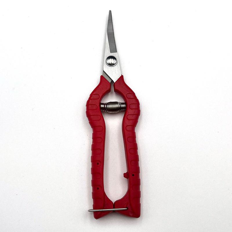 In-Stock Stainless Steel Grape & Flower Pruning Shears - Garden & Potted Plant Scissors