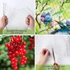 Garden Orchard Bird Protection Net Polyethylene Mesh Netting for Fruit Trees Vineyard Bird Control 2m by 5m Durable Extruded Material