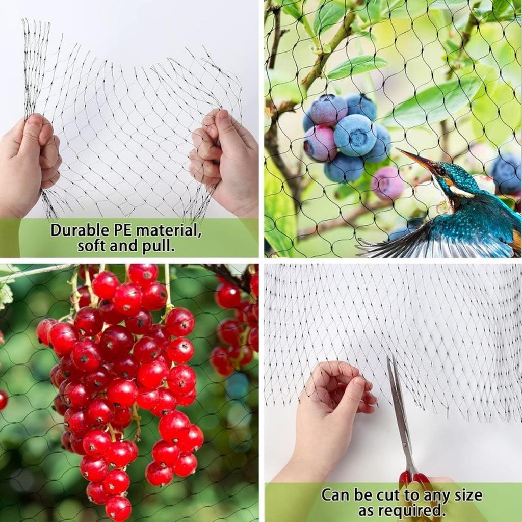 Garden Orchard Bird Protection Net Polyethylene Mesh Netting for Fruit Trees Vineyard Bird Control 2m by 5m Durable Extruded Material