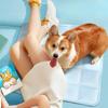 Pet Ice Cushion Cooling Cat Nest Summer Dog Cool Cushion Sleep Cushion Cool Cushion Dog Nest Ice Nest Summer Cool Cushion Cat