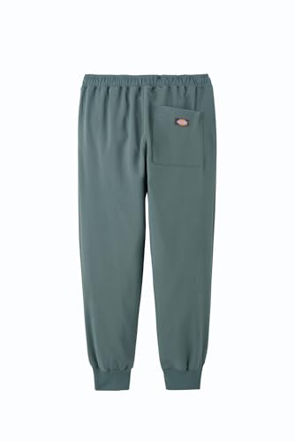 Dickies Jogger Pants