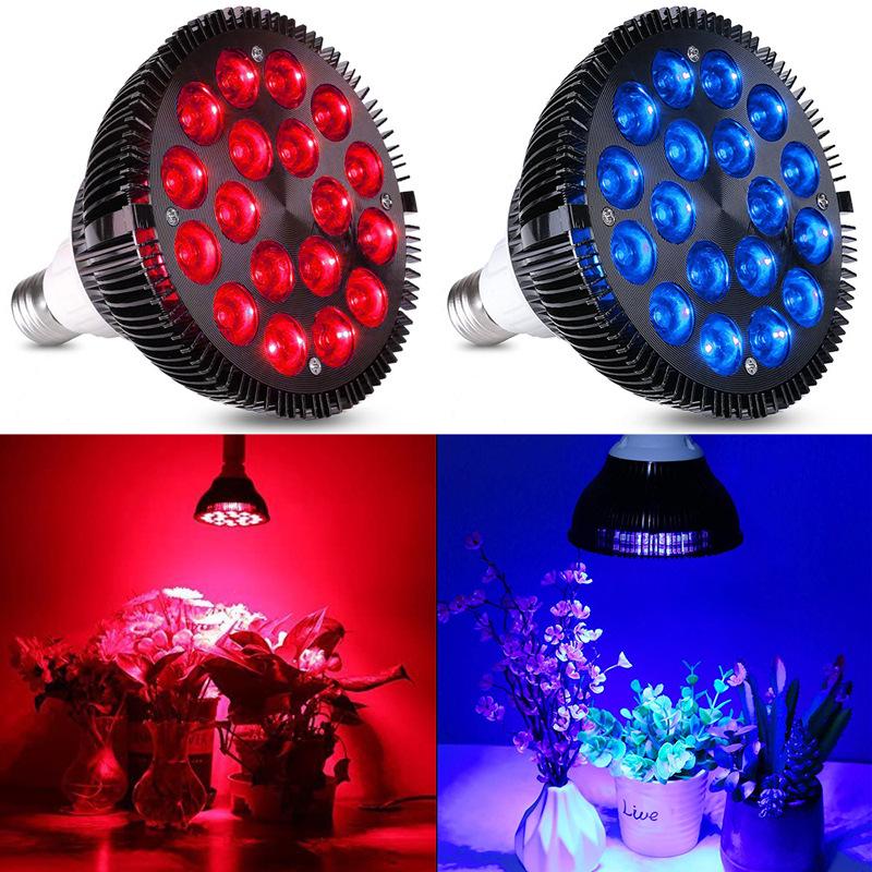 PAR38 Infrared Physiotherapy & LED Plant Growth Lamp – Red/Blue Light, 18W/36W Spotlight