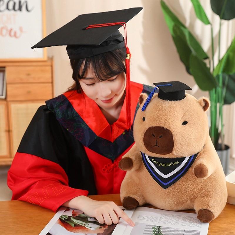 Doctor Capybara Funny Doll Graduation Commemorative Plush Toy Pillow Gift