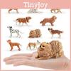 אספנות ודגמים – דגמים