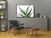 Picture Poster In a Frame 53x73 Cm Flower P1045