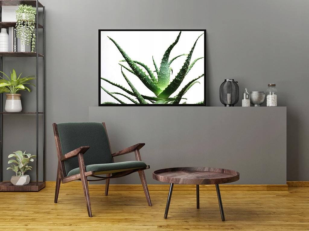 Picture Poster In a Frame 53x73 Cm Flower P1045