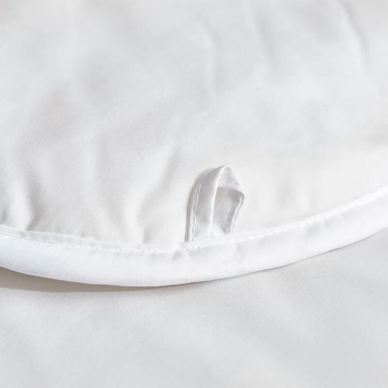 Luolai All-Season Polyester Fiber Duvet Insert