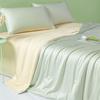 Summer Ice Silk Quilted 4-Piece Set: Lightweight, Machine Washable for Single & Double Beds