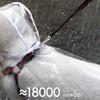 Transpicuous Recyclable Dog Rainwear With Easy Snap Conclusion Generous For Active Animals In Wet Weather