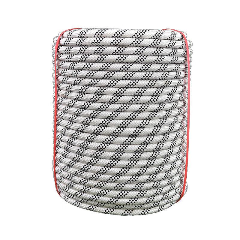 18mm Heavy-Duty Polyester Steel Core Safety Rope