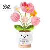 Never Fading Flower Positive Crochet Tulip Wildflower Thank You Gifts for Women Mom Friends Handmade Floral Keepsake Potted Doll with Card Emotional