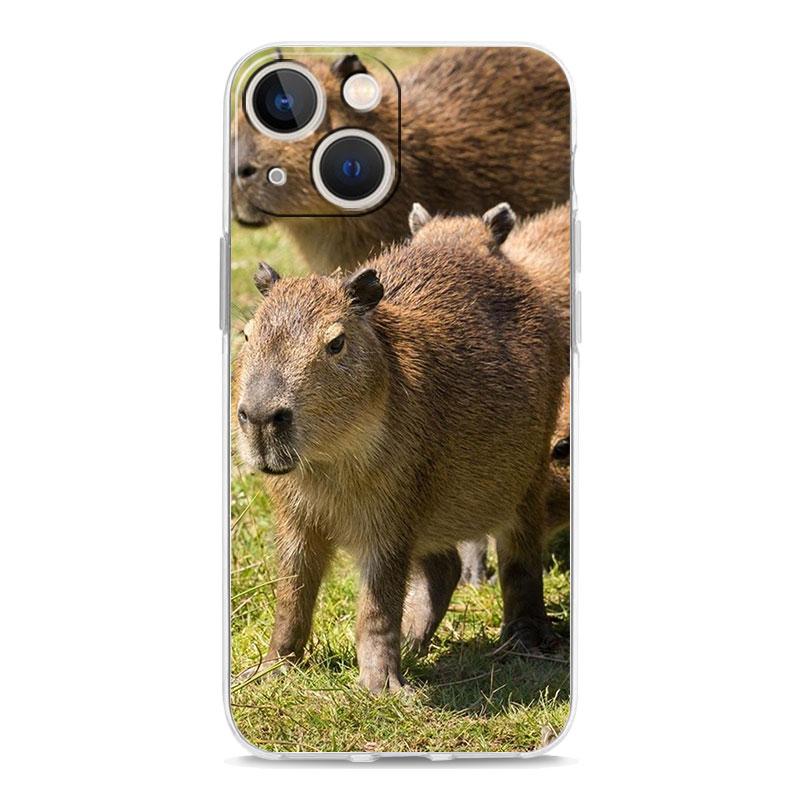 Cute Capybara Luxury Transparent Phone Case For iPhone 15 16 14 13 12 11 Pro Max XS X XR SE 7 8 Plus Clear Lens Protect Cover