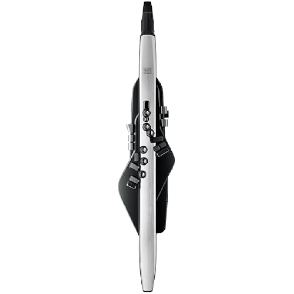 Roland /Aerophone PRO AE-30 Aerophone Digital Wind Instrument