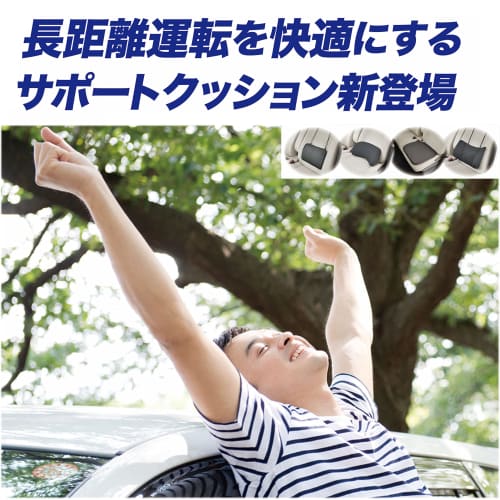 BONFORM Seat Cushion Rakusapo Memory Foam Light/Normal Car Londra and Others Cosiate M31x45x9cm Black 5601-72BK