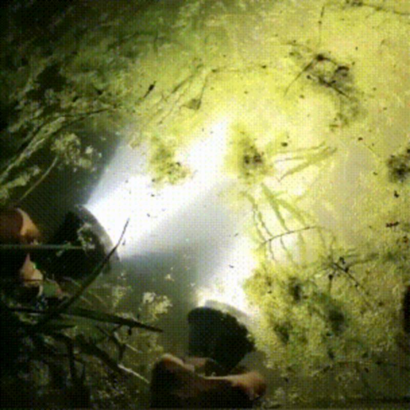 Flashlight High Power LED Flashlight Usb Lighting Recharg