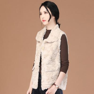 Collar Imitation Mink Velvet Vest Women's Winter Clothing New French Versatile Slimming Jacket