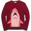 Shark Embroidered Round Neck Long Sleeve Sweater Women Sweater 26397-BUR