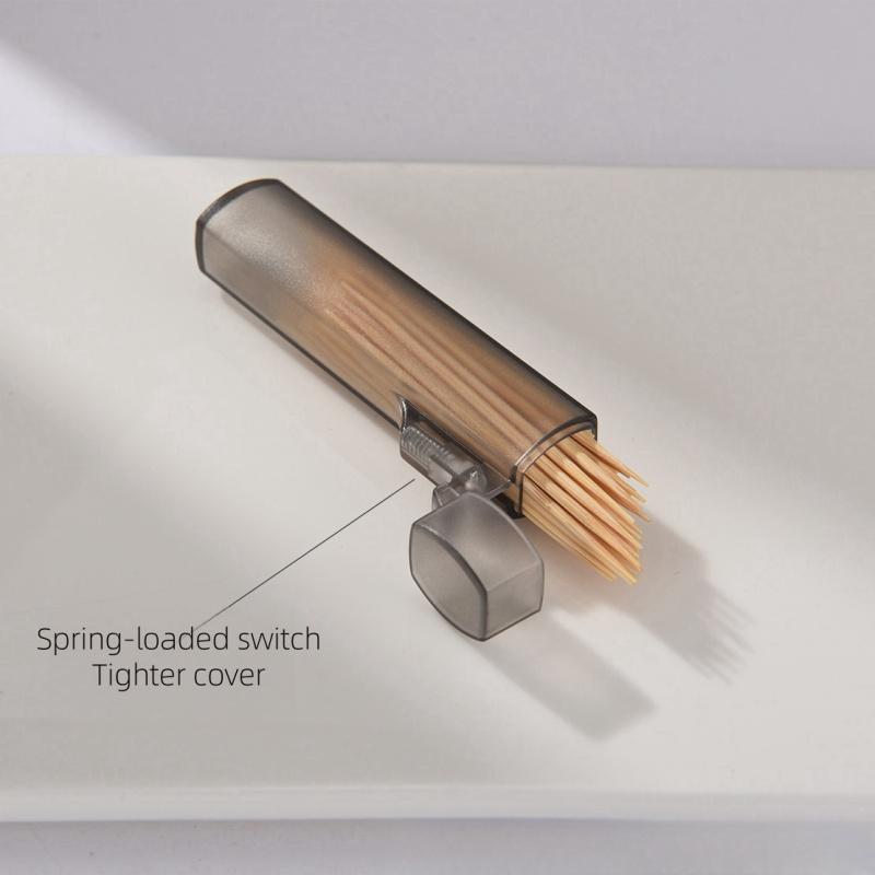 1PC Mini-Zahnstocher-Etui, tragbar, transparent, Mini-Aufbewahrungsetui, Zahnstocher-Wattestäbchen-Etui, Organizer, Aufbewahrungskoffer für kleine Gegenstände