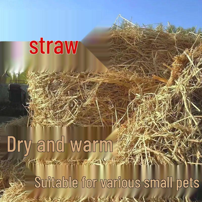 Natural Pet Nest & Feed Hay: Dry Straw for Chickens, Cattle, Sheep, Pigs, Ducks, and Dogs