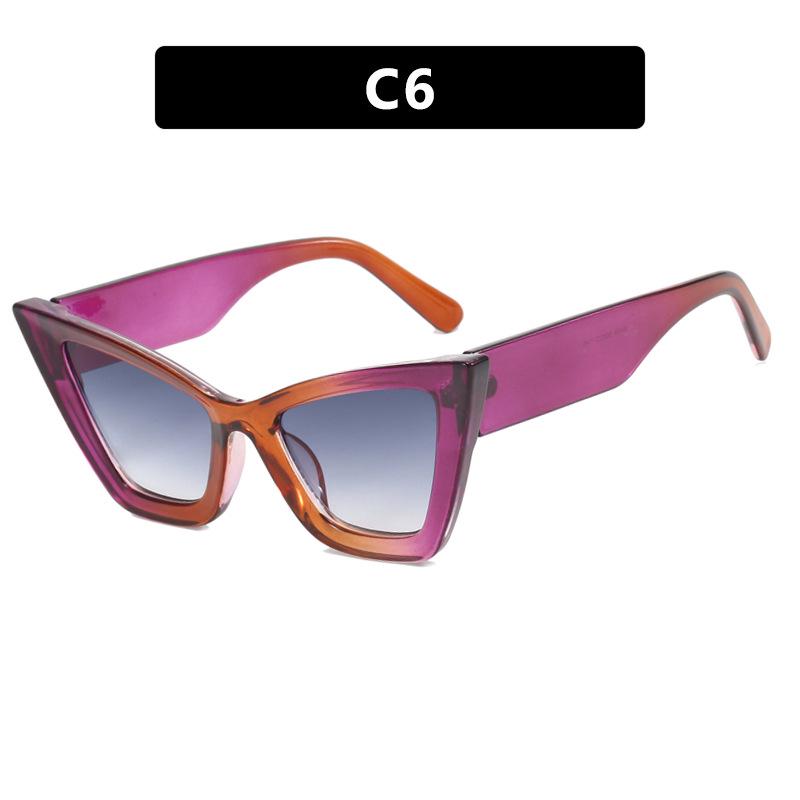 

Large Cat Eye Sunglasses: 2023 European & American Fashion for Women As Pictured