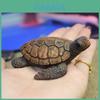 Resin Sea Turtle Decor Aquarium Miniature For Garden And Beach Micro Landscape